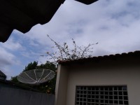 /album/montagens-e-gifs/gedc0023-jpg/